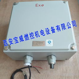 【防爆型高能點(diǎn)火器出廠(chǎng)價(jià)咨詢(xún)寶威燃控bwfd】- 